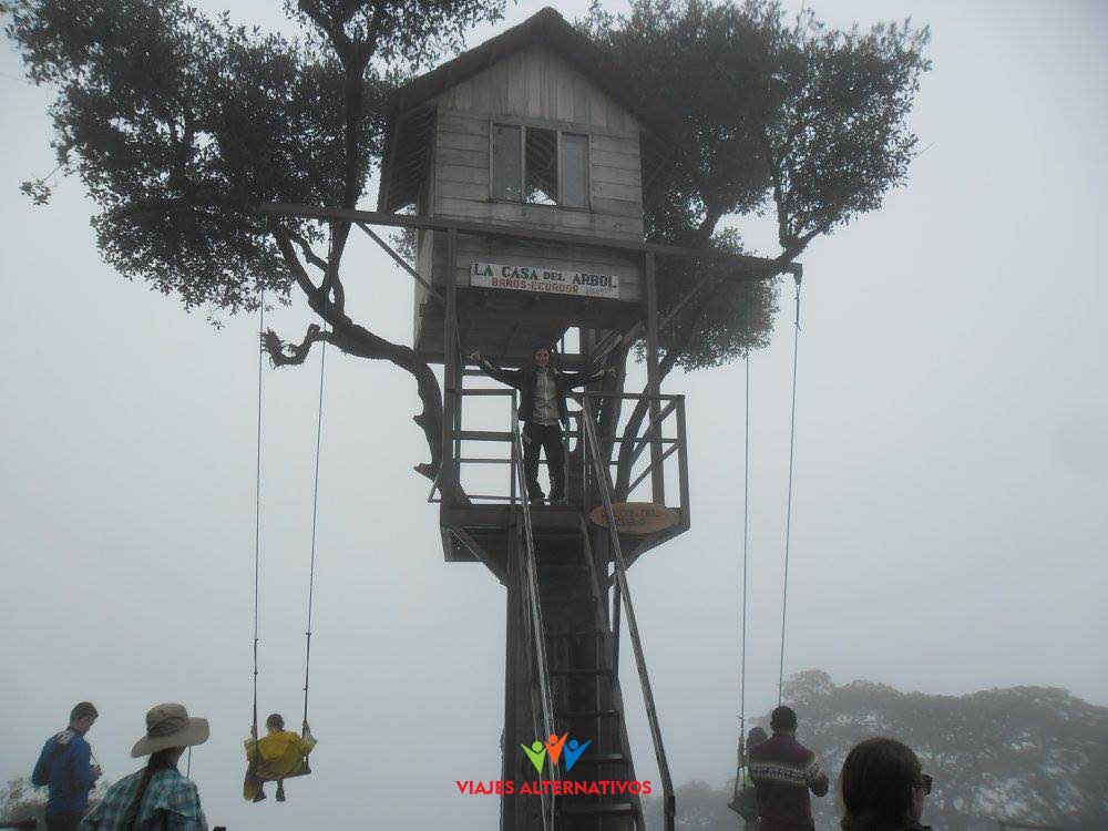 Casa del Árbol (Tree house)