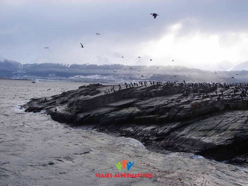 Costa de Ushuaia