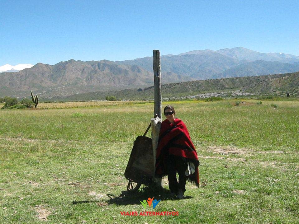 cachi