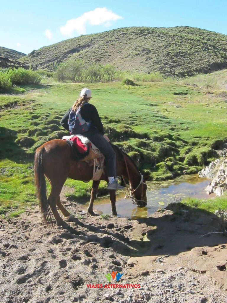 Cabalgata a Caballo en Cachi