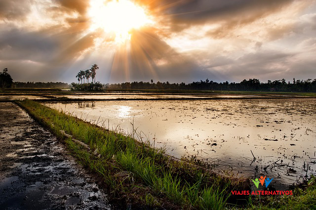 sunset-237930_640