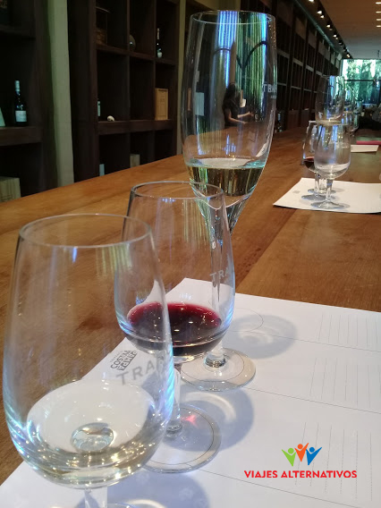 Tasting the wines