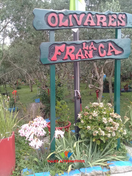 Olivares La Franca