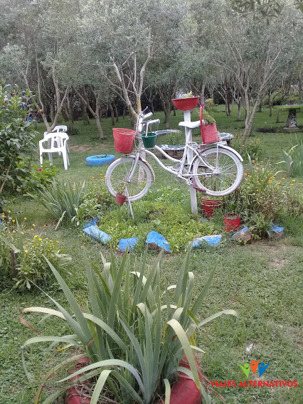 Olivares La Franca