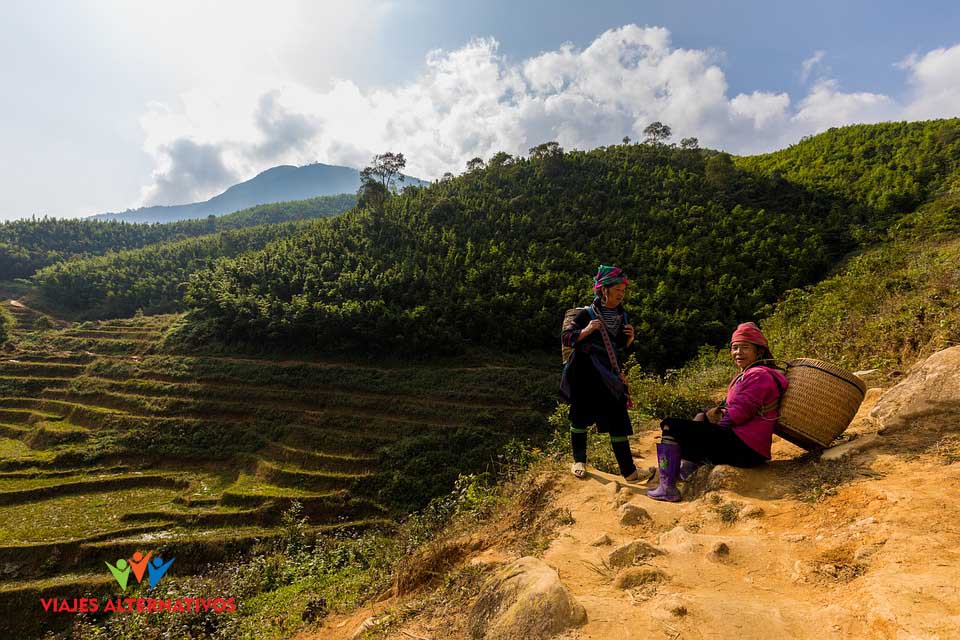 Sapa