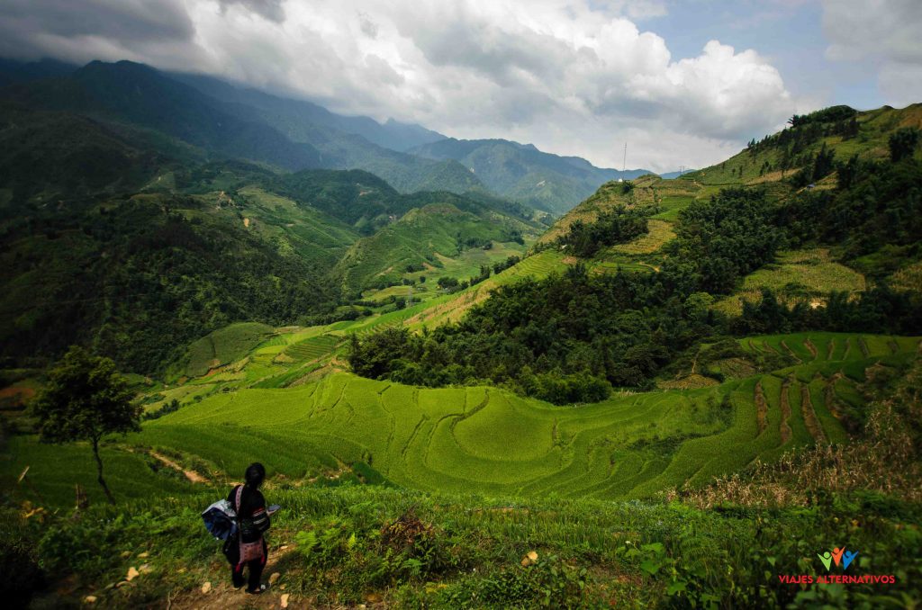 Sapa