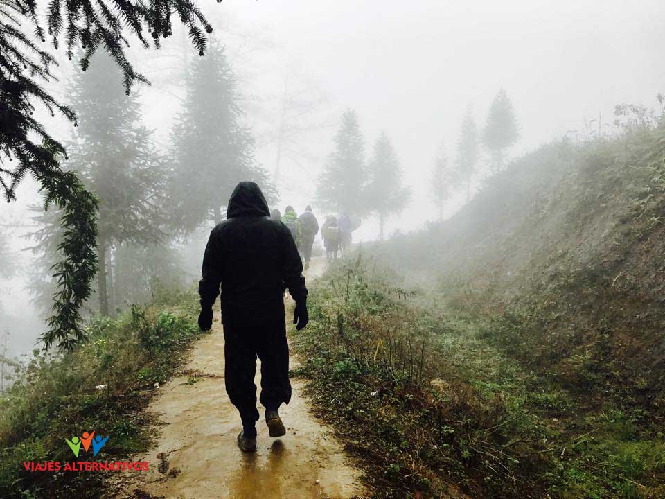 Rain in Sapa