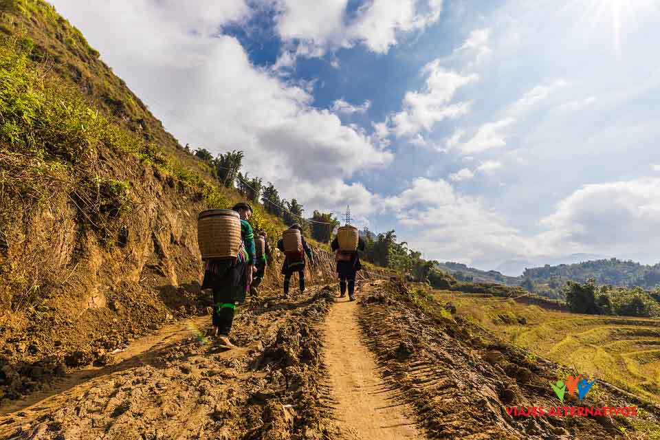 Women in Sapa