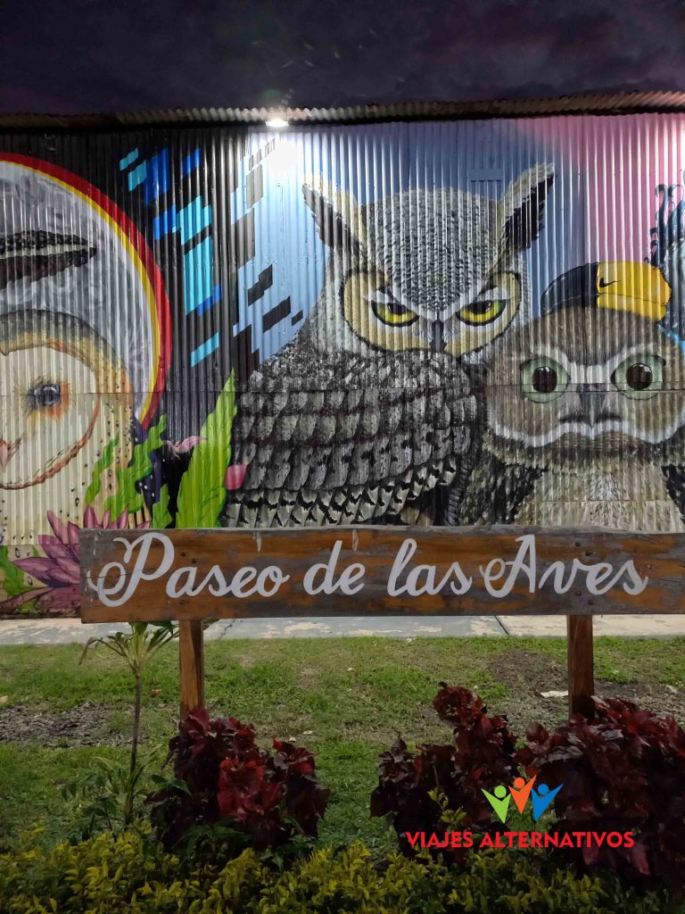paseo de las aves copy